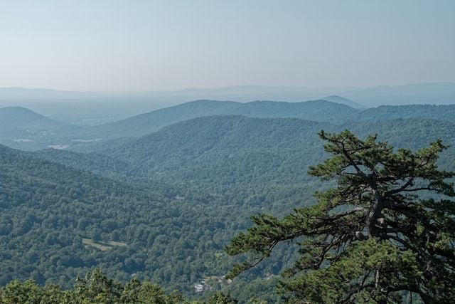 Serene view of lush green mountains in Shenandoah National Park, Luray, VA.