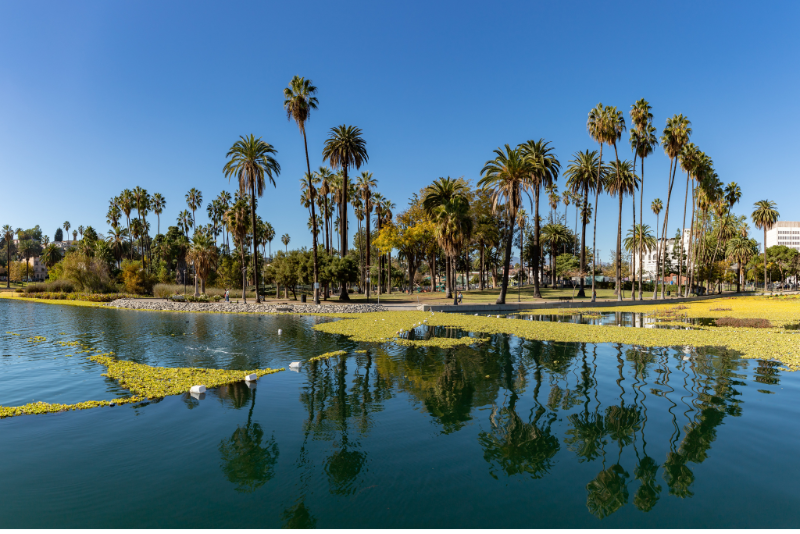 Photo of Echo Park Lake in Los Angeles