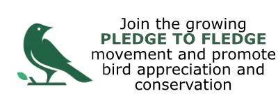 Join the Pledge To Fledge Movement
