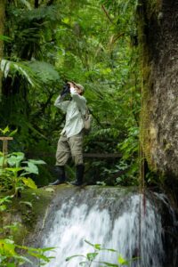 Best Budget Binoculars for Birding