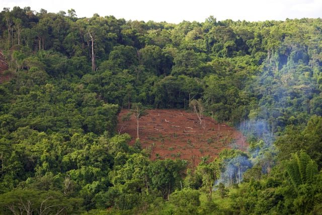 An aerial view of deforestation in the dense jungle of Mondulkiri, Cambodia.