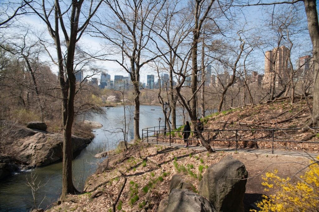 Beautiful landscape of Central Park with a New York City skyline backdrop in early spring.