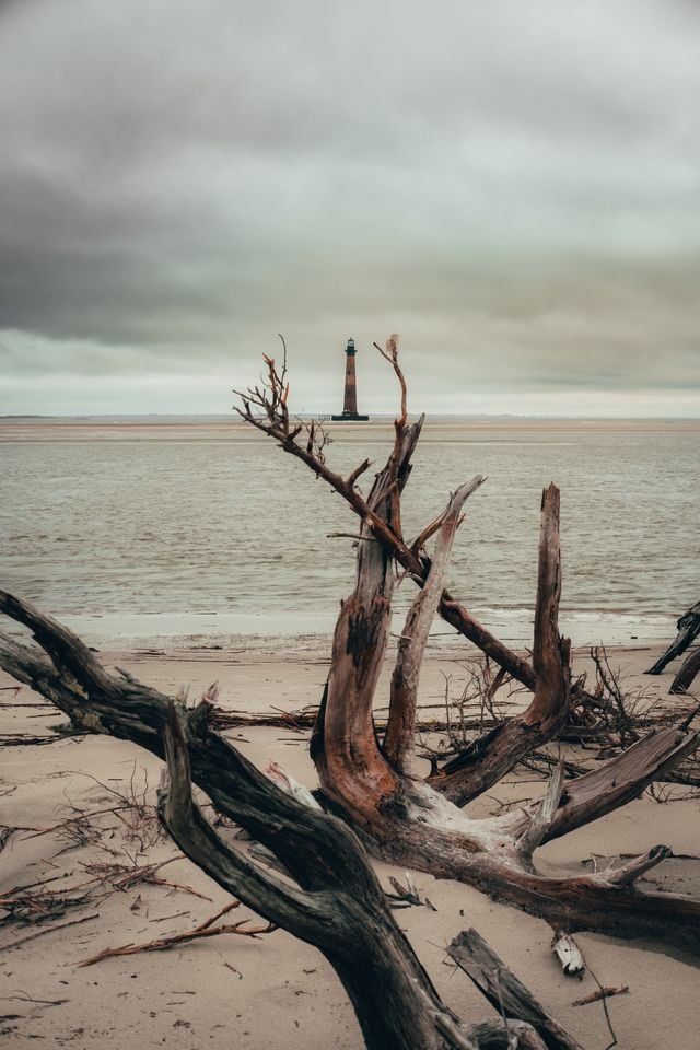 A moody coastal landscape featuring driftwood and a distant Morris Island lighthouse under cloudy skies.