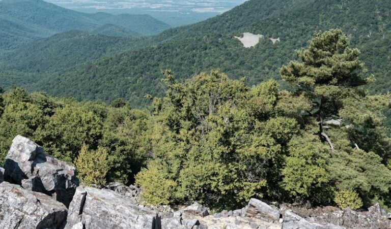 Panoramic view of the Blue Ridge Mountains in Shenandoah National Park during summer.